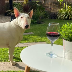 Claire enjoying her new garden with her dog